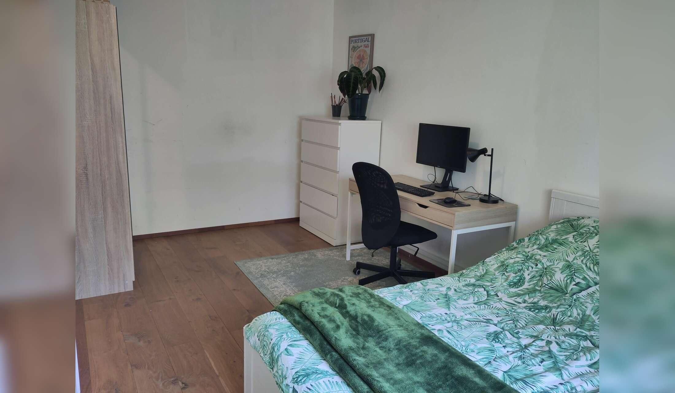 Cat/housesitting in Amsterdam Noord - Image 7