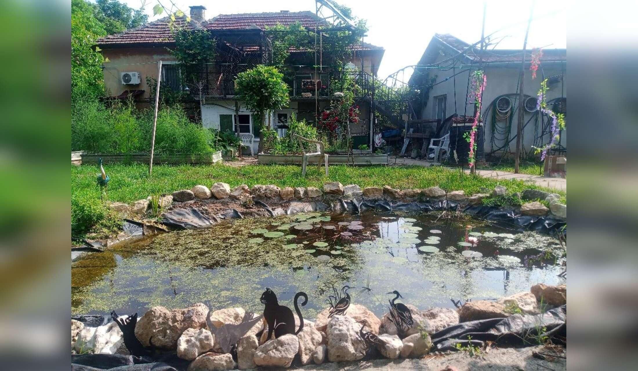 Peace, Quiet & Nature in rural N.W.Bulgaria in Vratsa region - Image 4