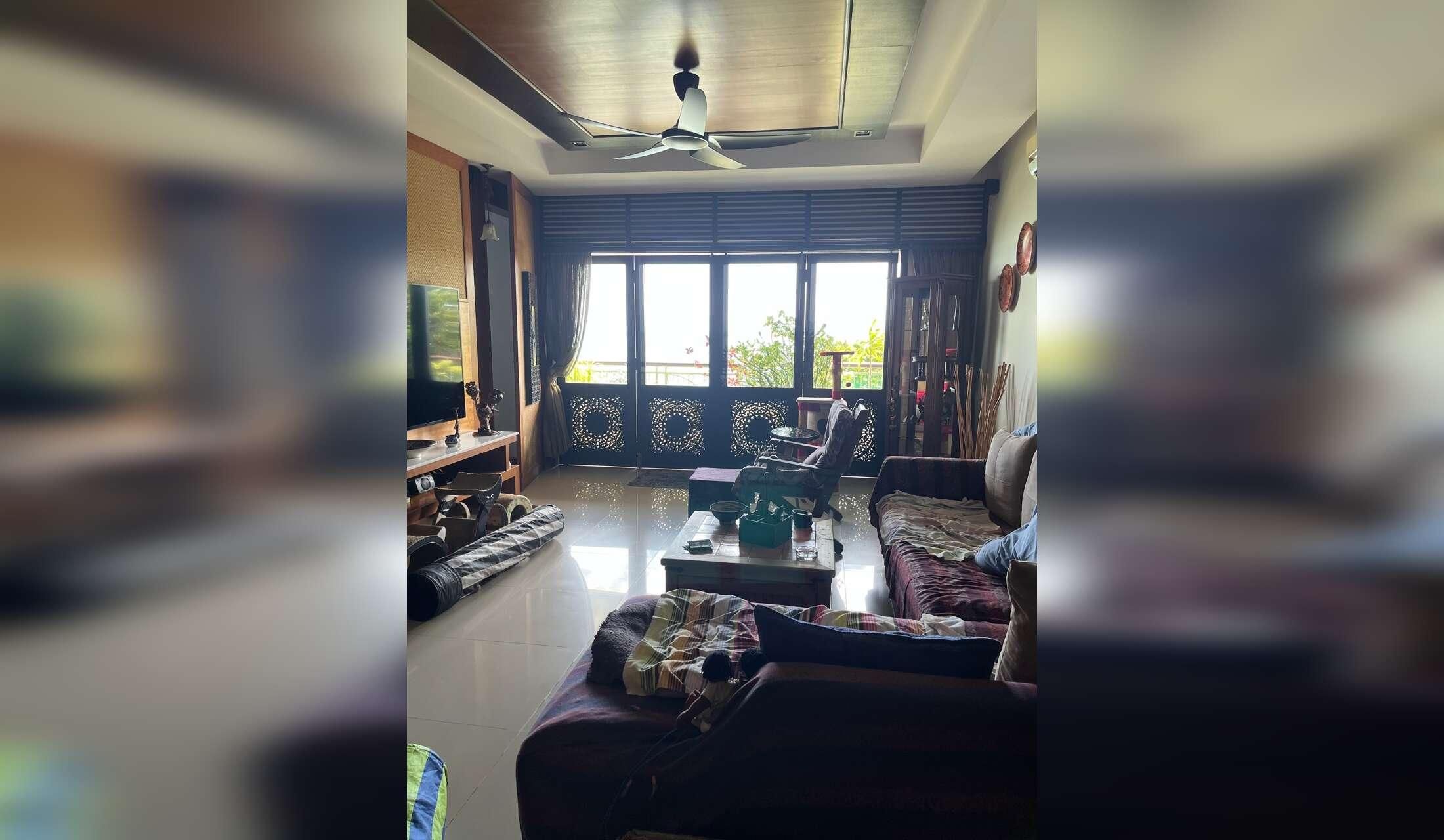 Cat lovers needed for beachfront condo - Image 7