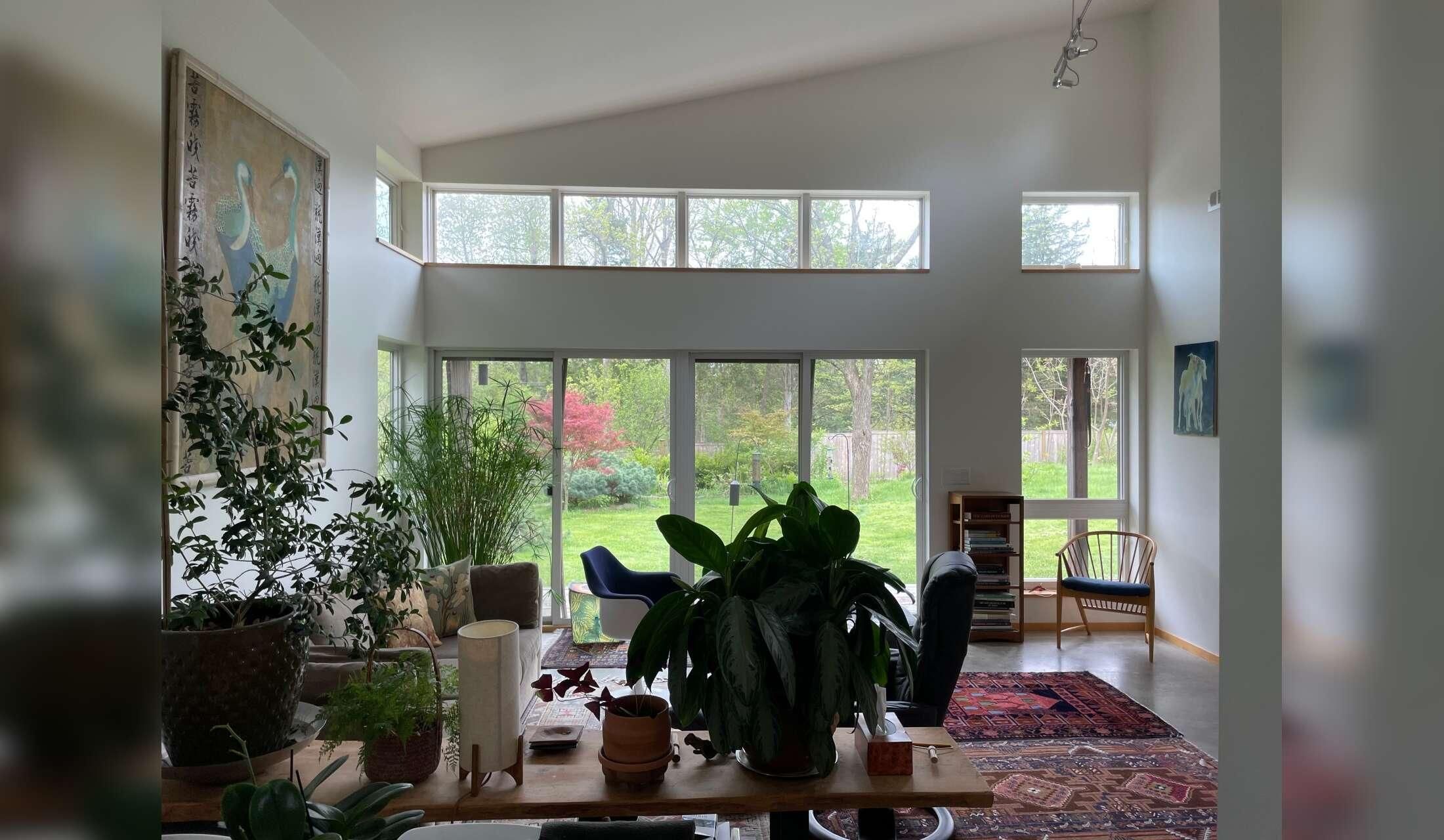 Stay in Beautiful Ithaca, with a windhound, an Abyssinian kitten and rescue black cat.  One bedroom home, central air, private yard, & painting studio. 2 week stay - Image 6