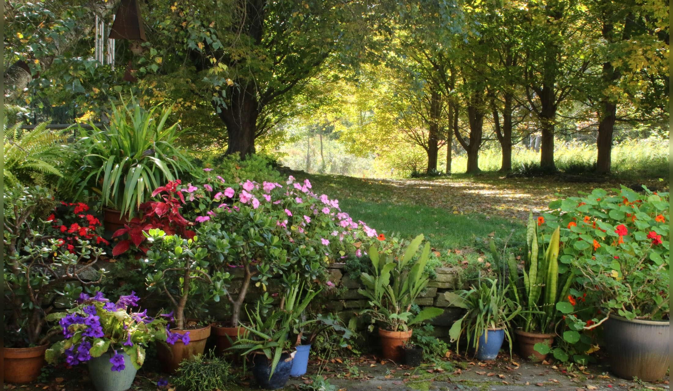 Summer Home in Ithaca NY - Image 6
