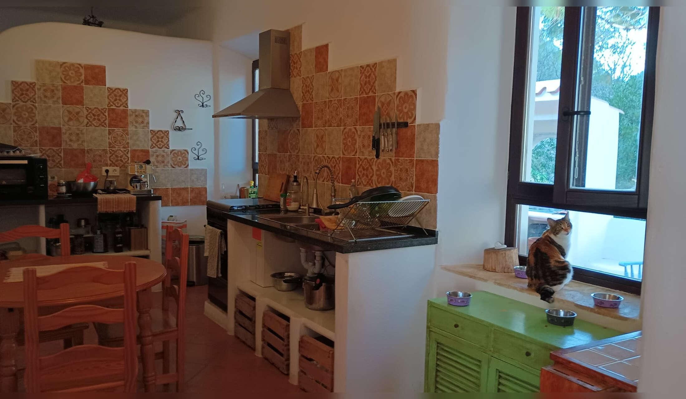 Country house in Andalusia - animal lovers only - Image 5
