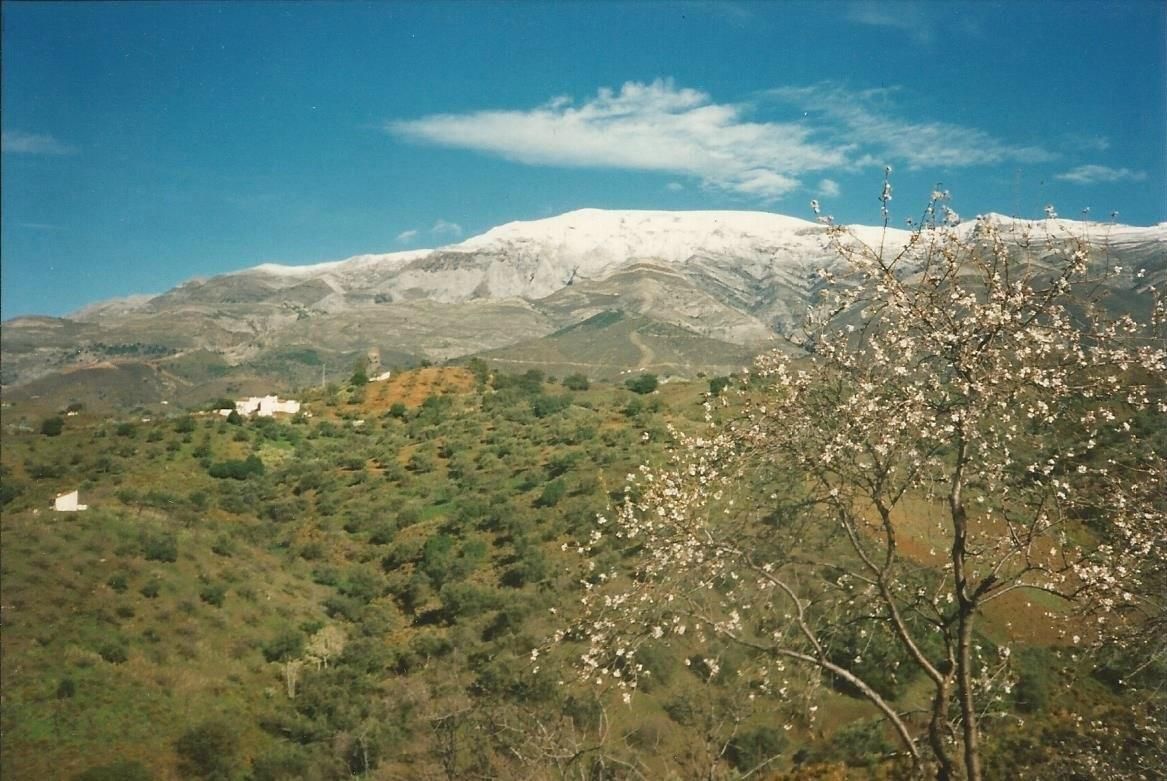 House sitter wanted for 3 weeks in March 2027 for quirky eco-friendly household in rural Andalucía, with beautiful mountain view and peaceful location - Image 4