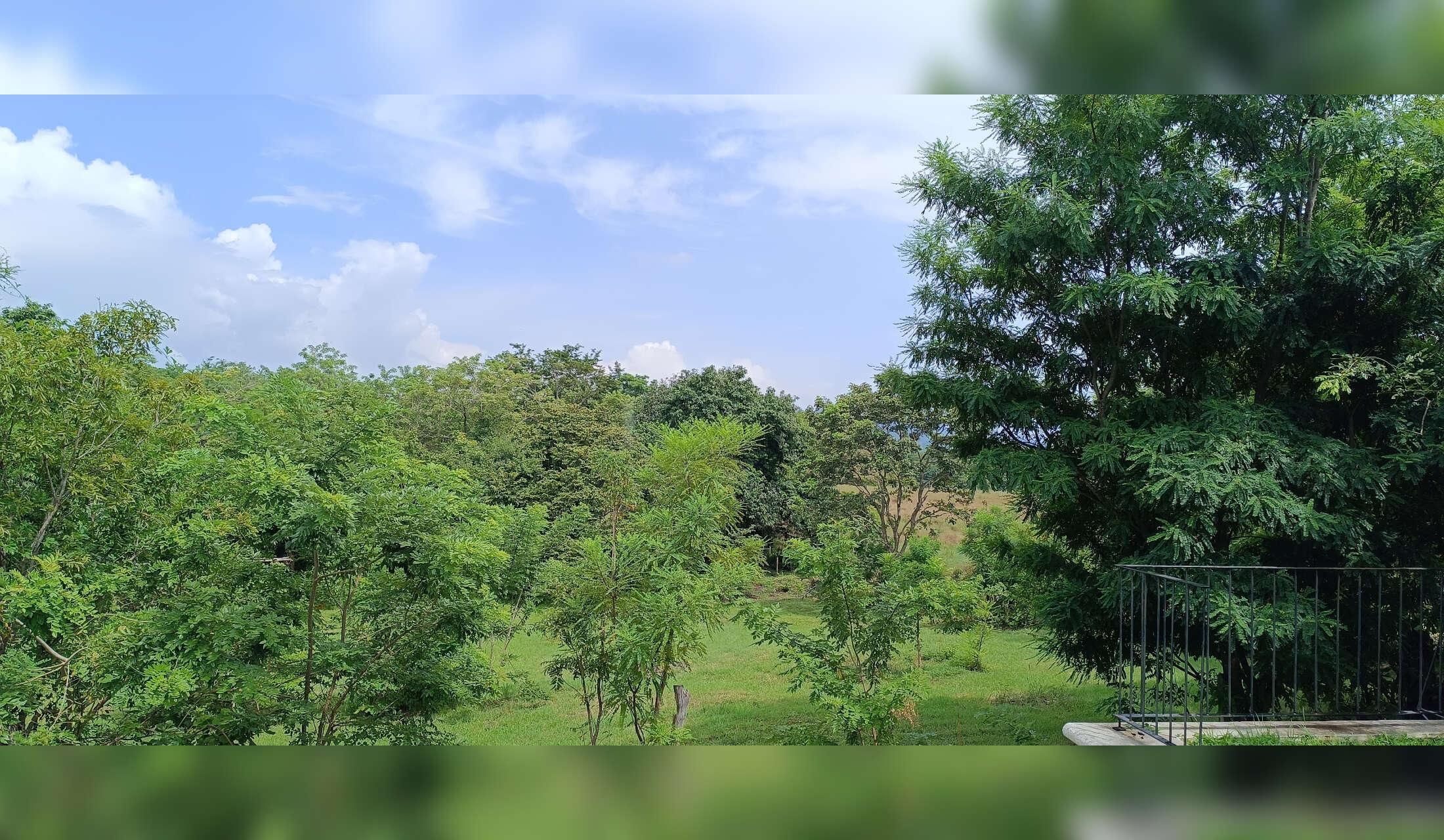 House in a finca surrounded by wild animals - Image 2