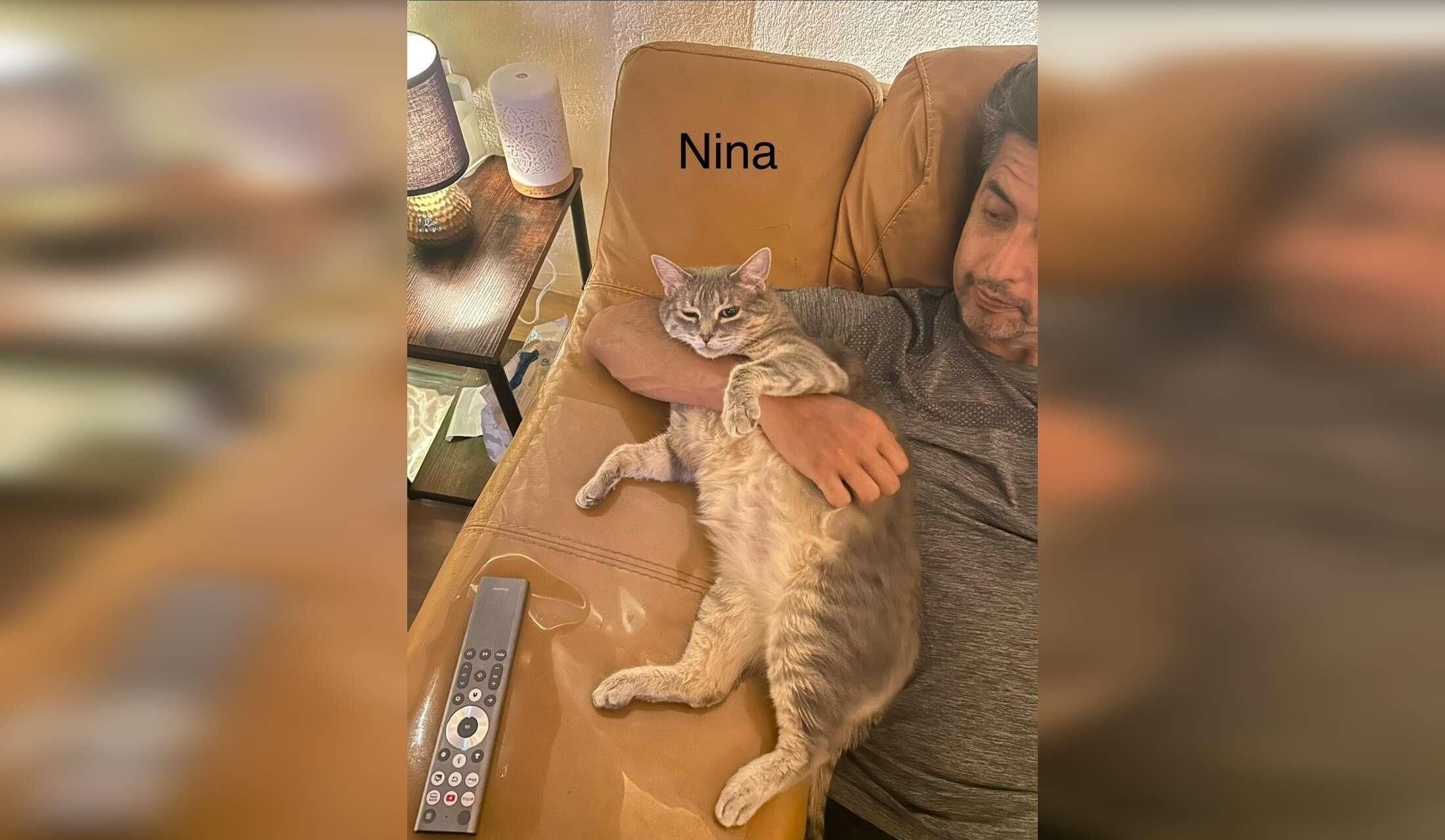 Interviewing for cat sitter - Image 4