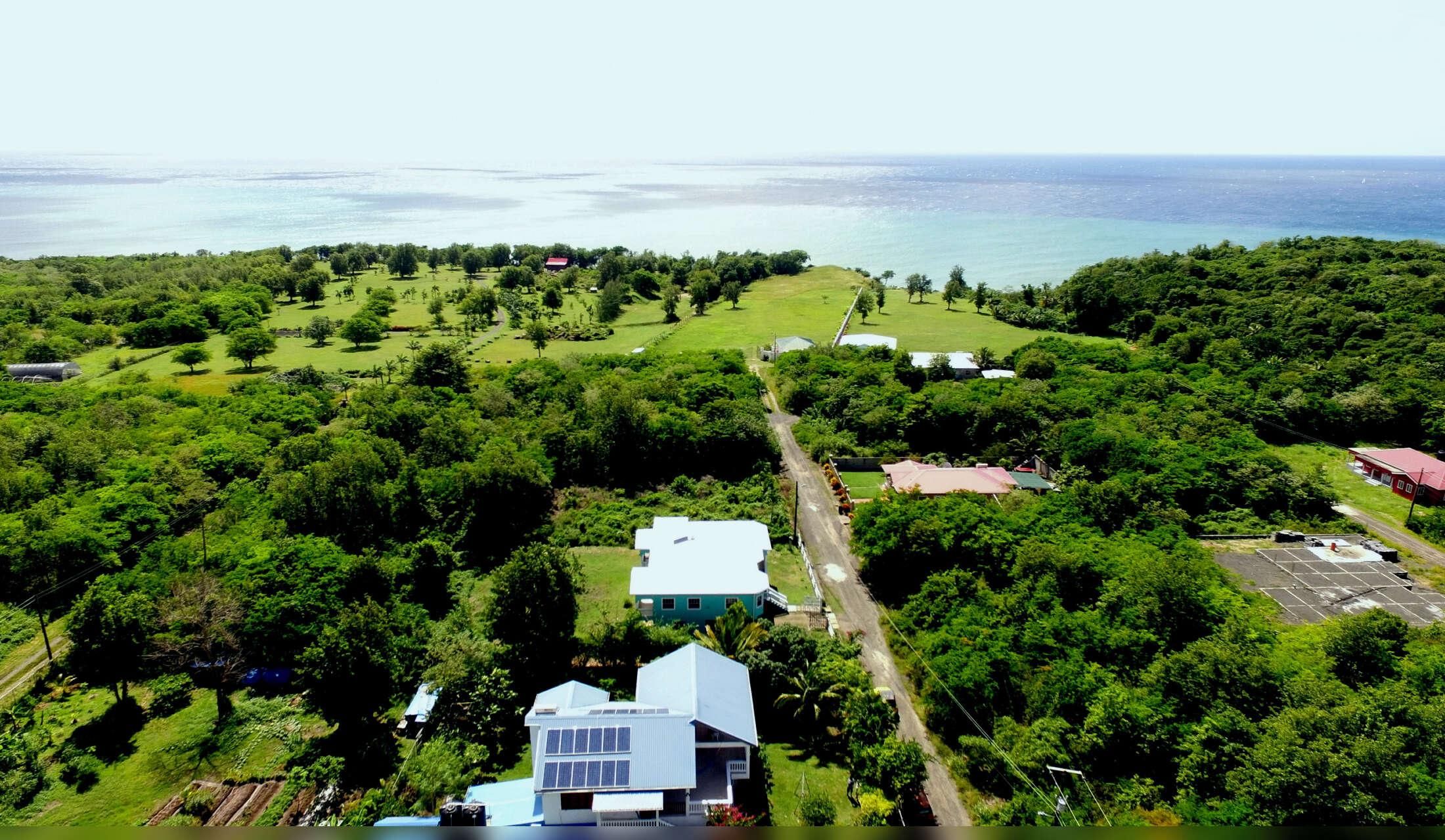 Cybernomad or retiree house-sitter wanted - 2 hours/ day for free accommodation in a beautiful Caribbean home close to sea in SAINT LUCIA - Image 3
