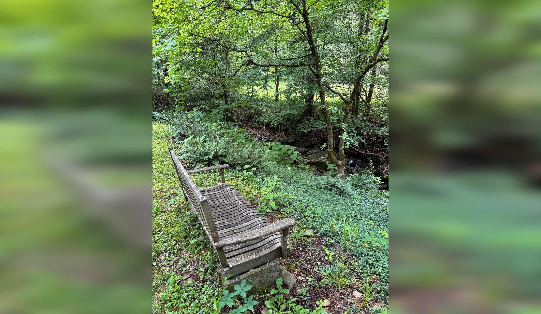 Spend some time in beautiful Asheville - Image 5