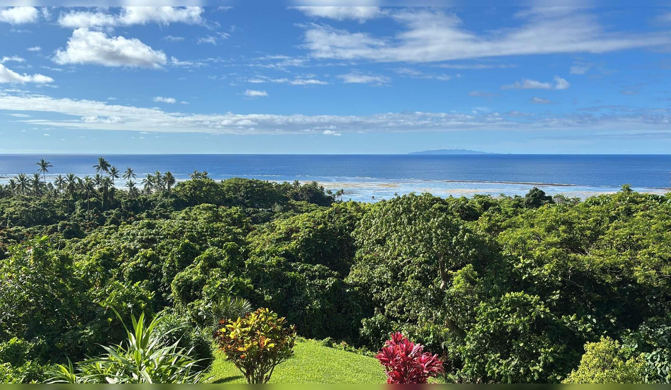 Fancy a 6 week holiday in an idyllic location in Fiji?  Dog/Cat Sitter needed!