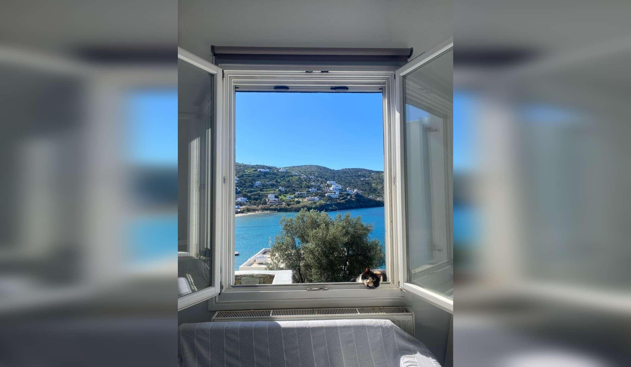 Seeking experienced dog and cat lover for Syros Island. - Image 3