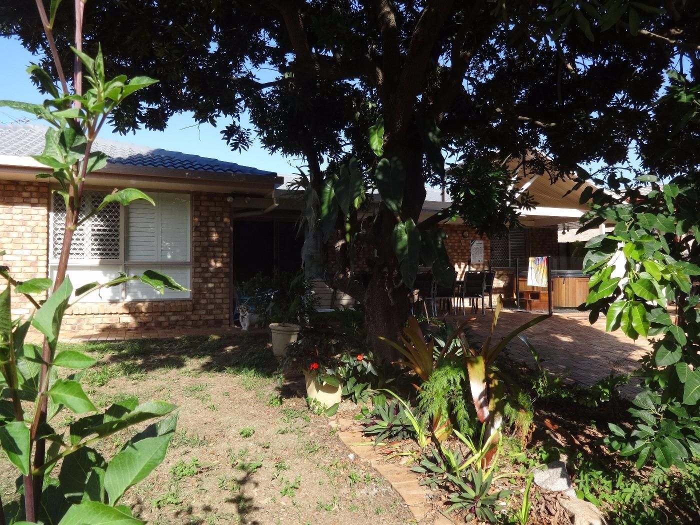 House sitters for Northern Brisbane required - Image 6