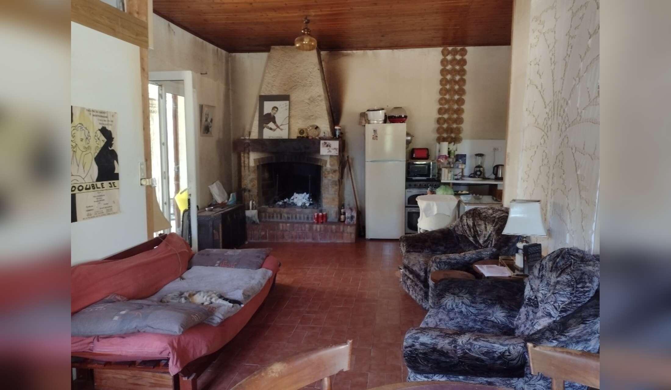 Big Furry Family in a quiet countryside in SE France - Image 7