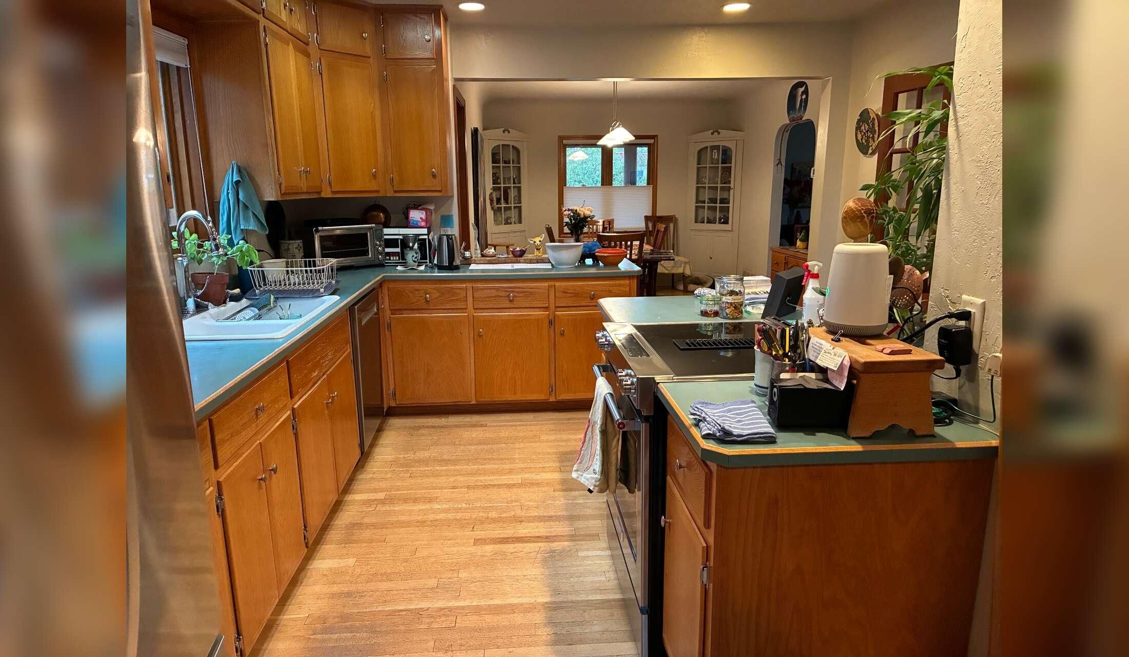 Nice home near University of NM and Nob Hill with sweet 16 pound terrier mix - Image 3