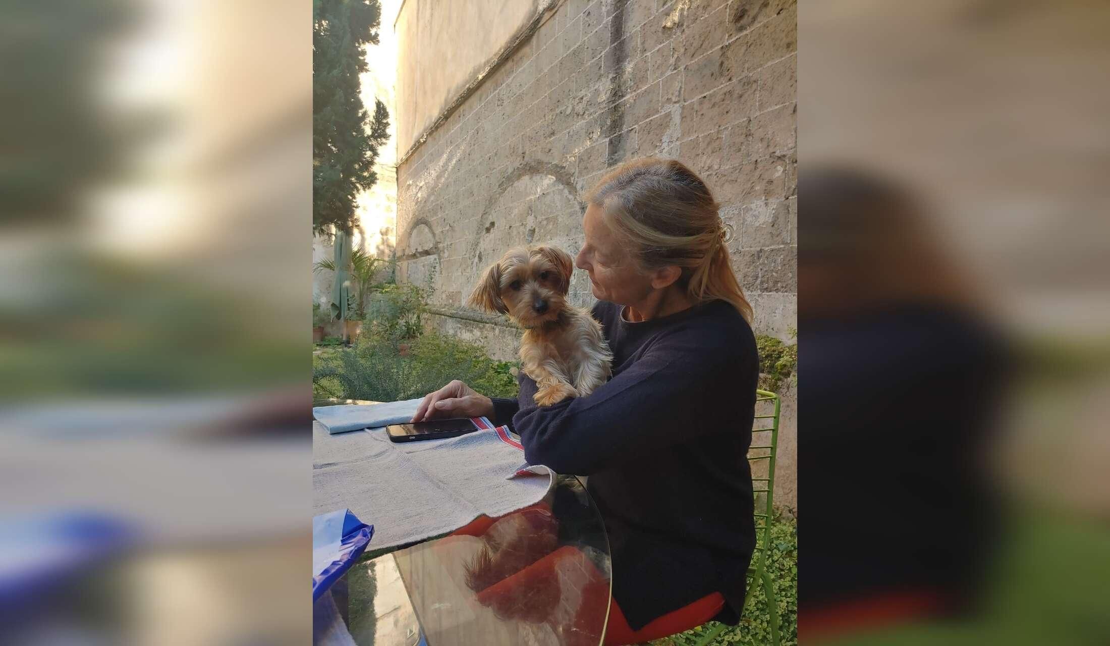A week in Puglia caring for our Yorkie, Benny