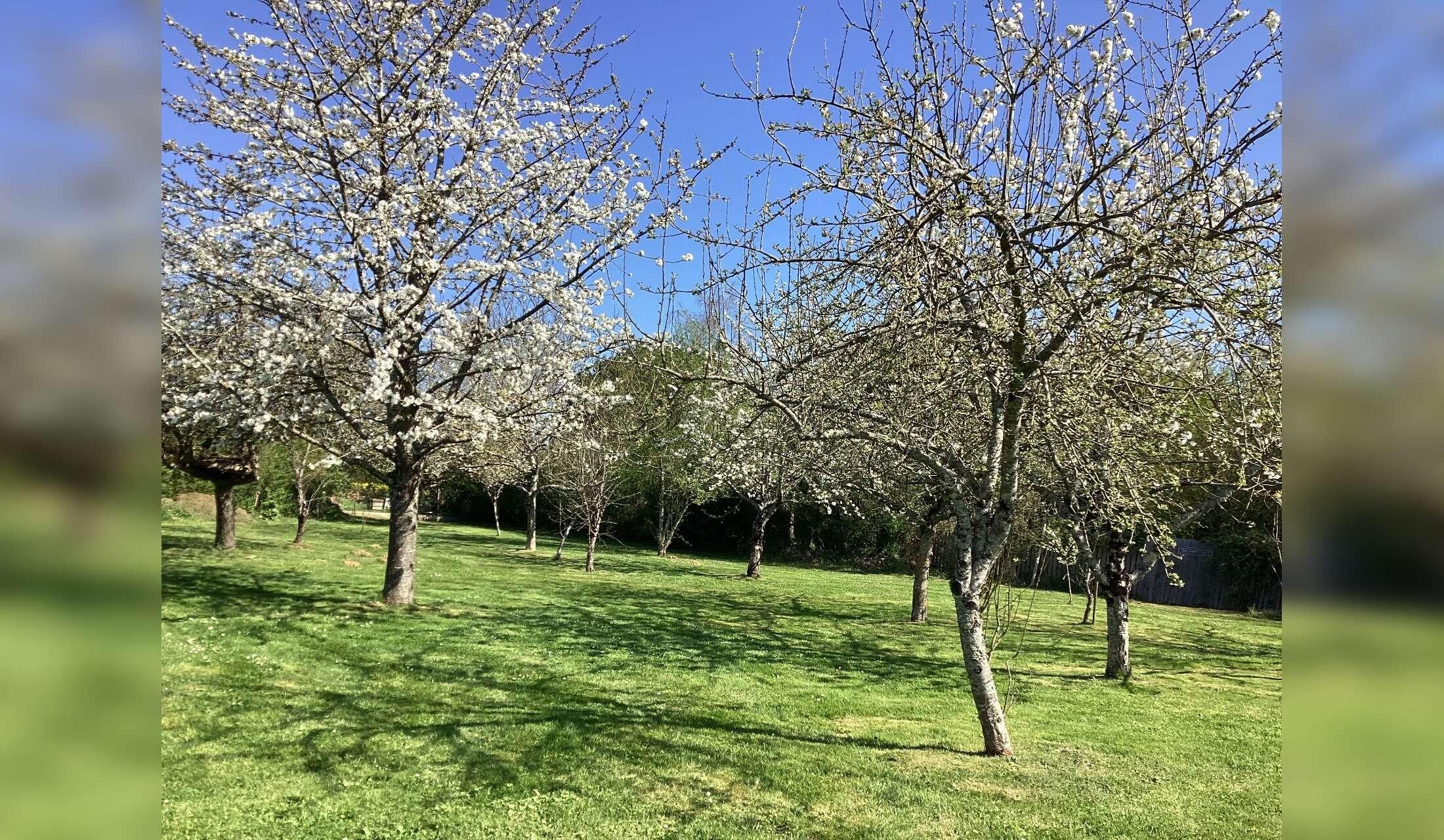 Springtime France - Image 2