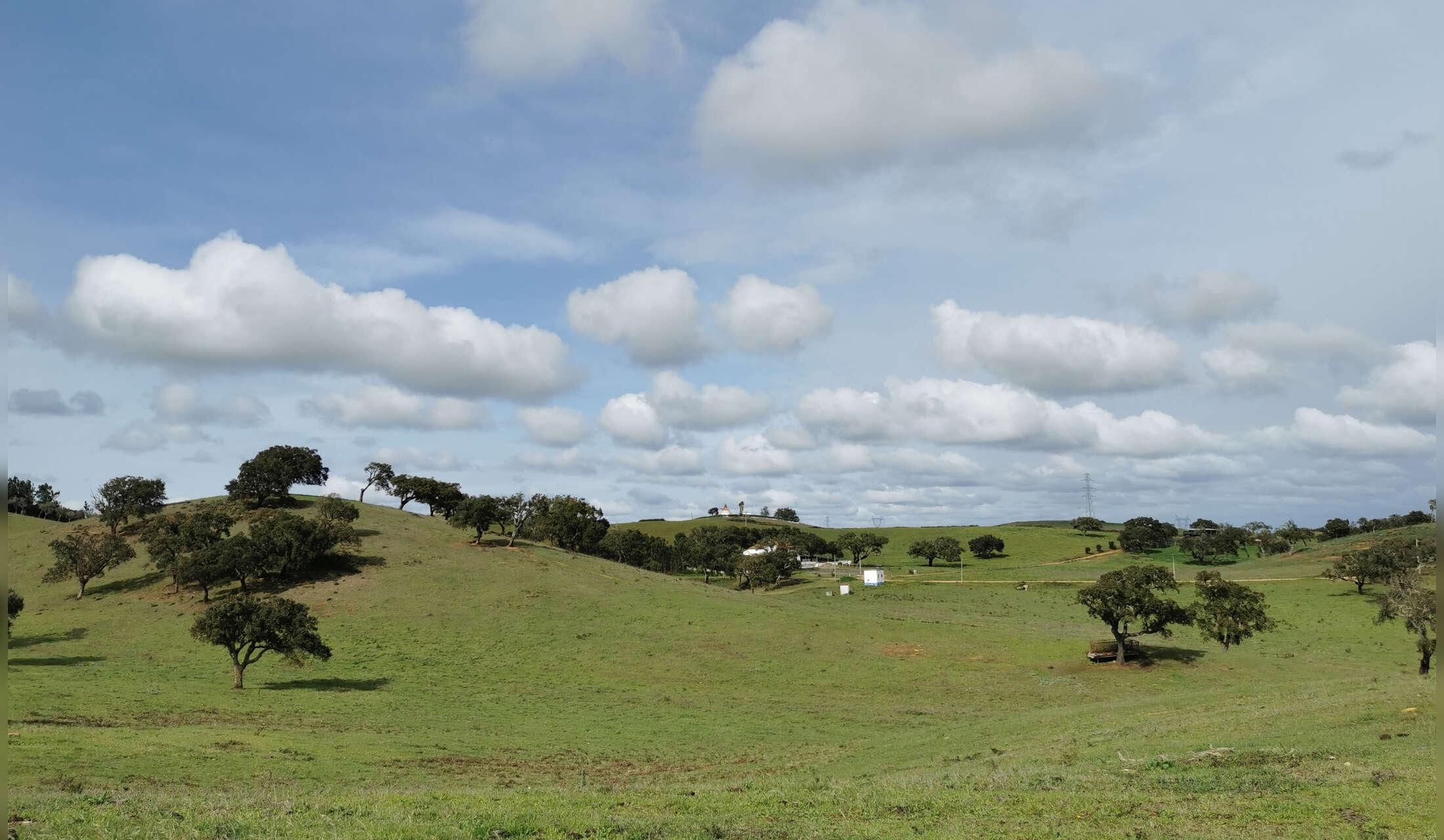 Country House near Cercal do Alentejo (Costa Vicentina) - Image 3
