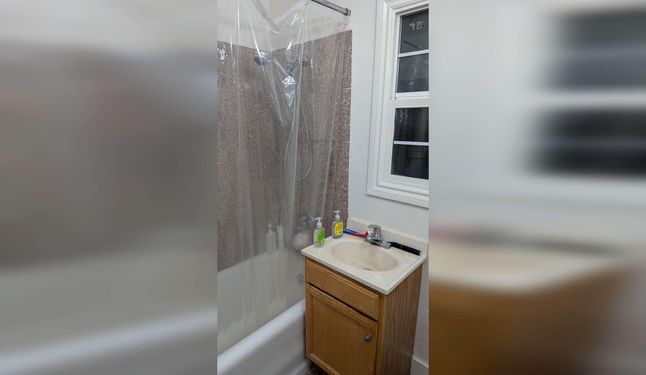 3-week San Francisco Stay: Care for One Cat in an Apt - Image 4