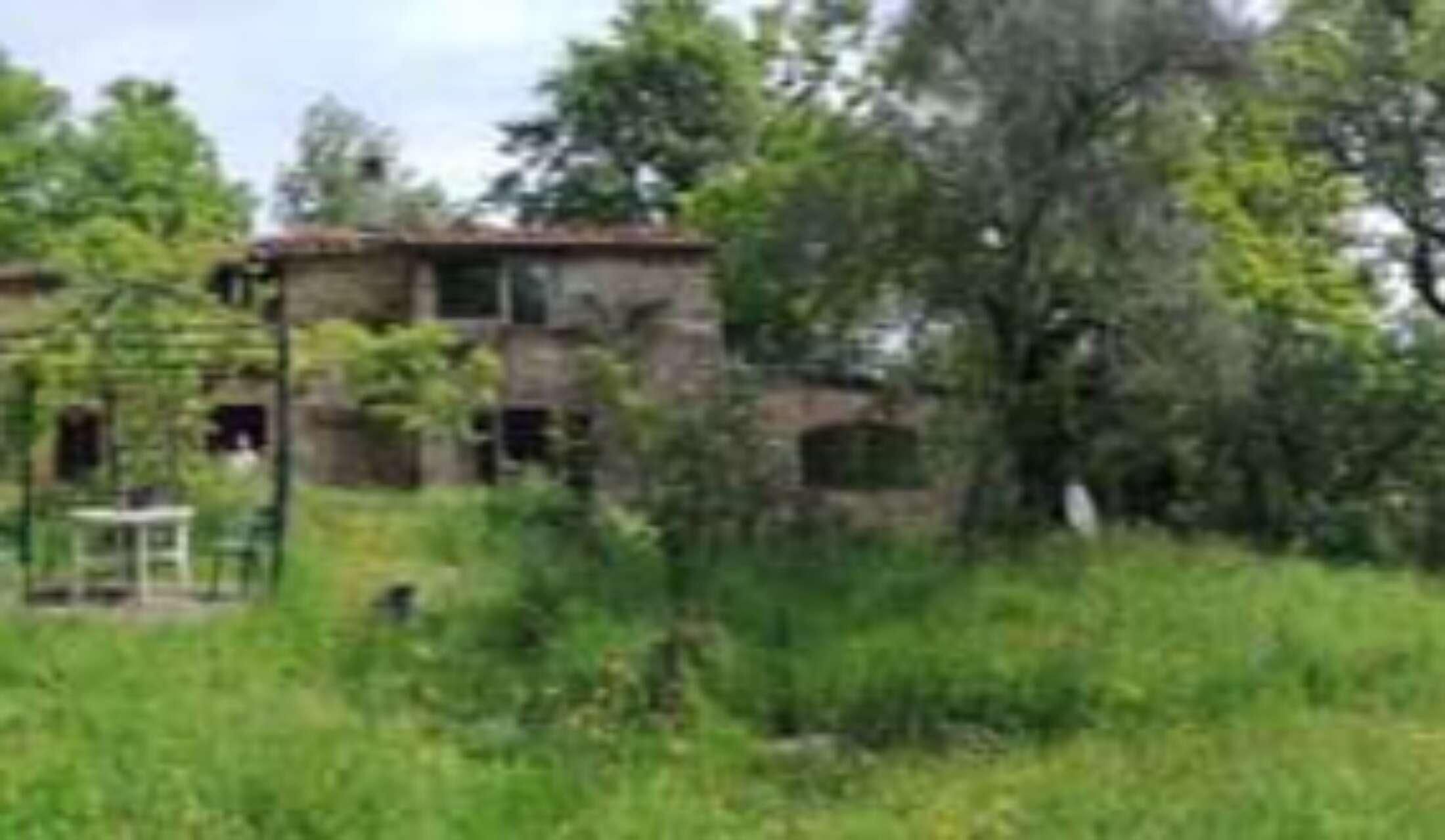 Cerco cat Sitter Casa di campagna in Toscana - Image 2