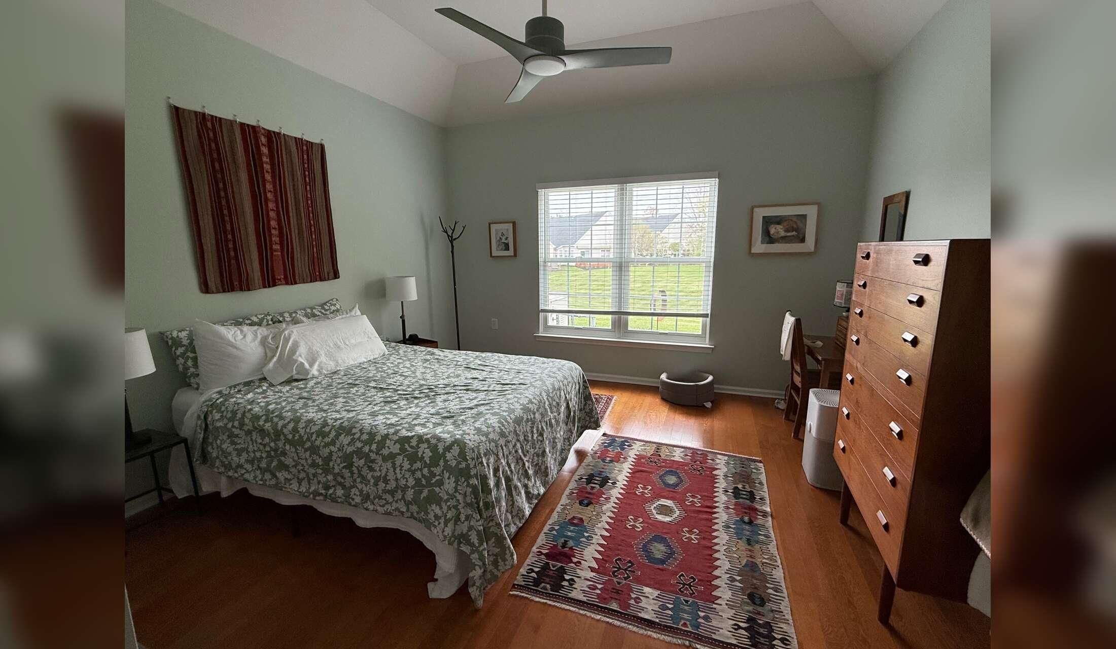 Cat sitter needed October 13-22  close to Princeton NJ - Image 3