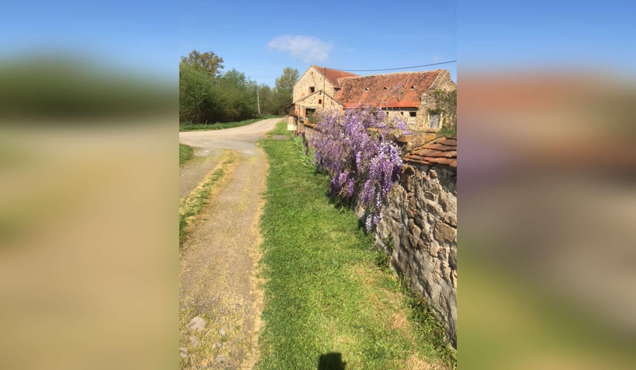 A warm welcome from sheep, dog and cat at our quiet old farm in the Auvergne - Image 4