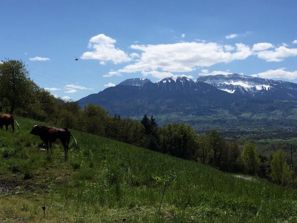 Fresh air in The French Alps! - Image 4