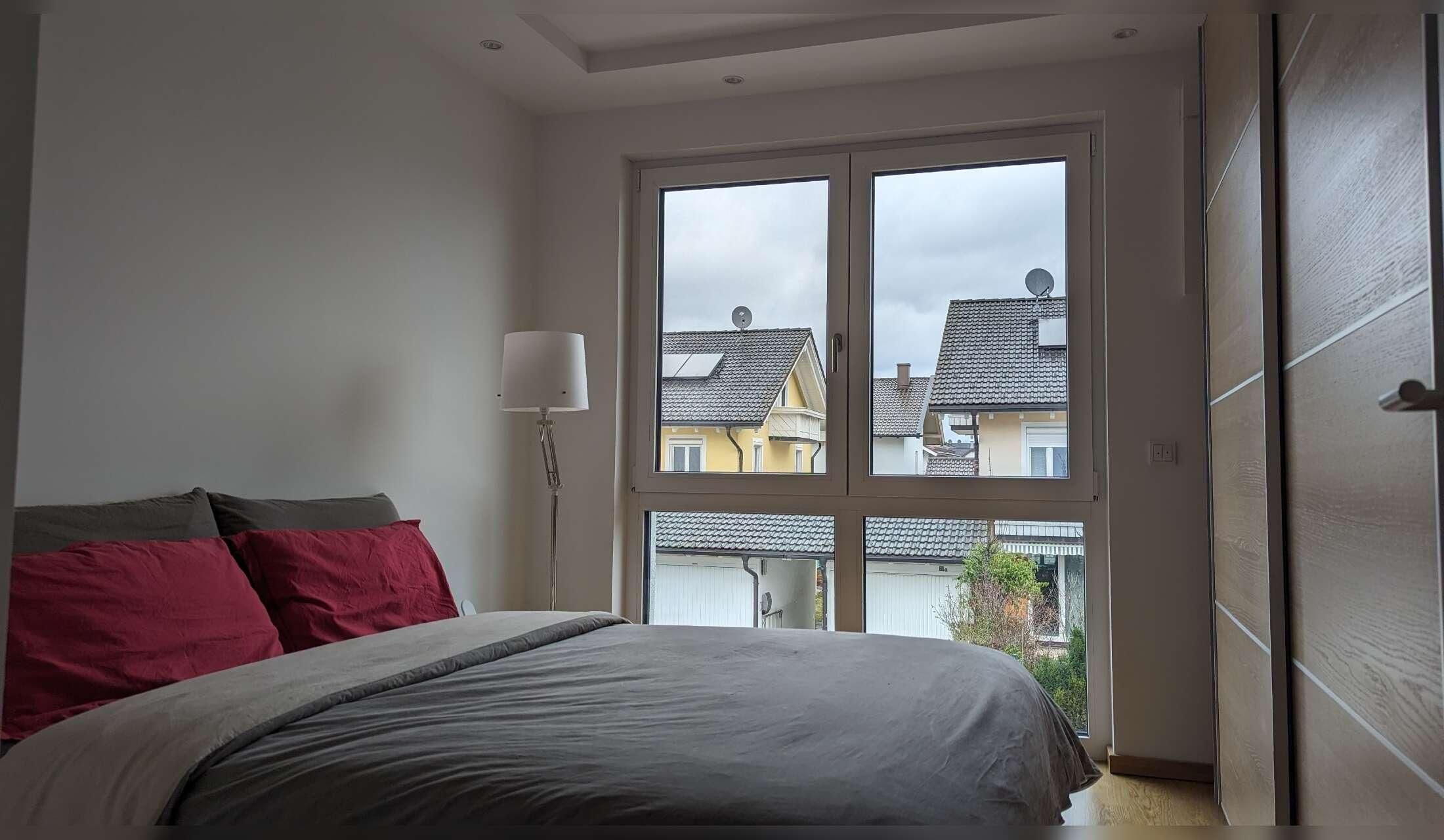 Looking for a cat sitter for 2 Sacred Birman cats near Munich - Image 5