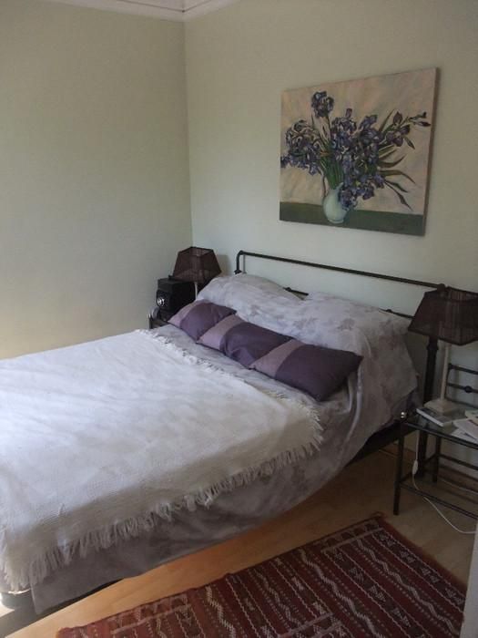 Charming Nice Villa with 2 happy Cats: sunlit and well-located - Image 3