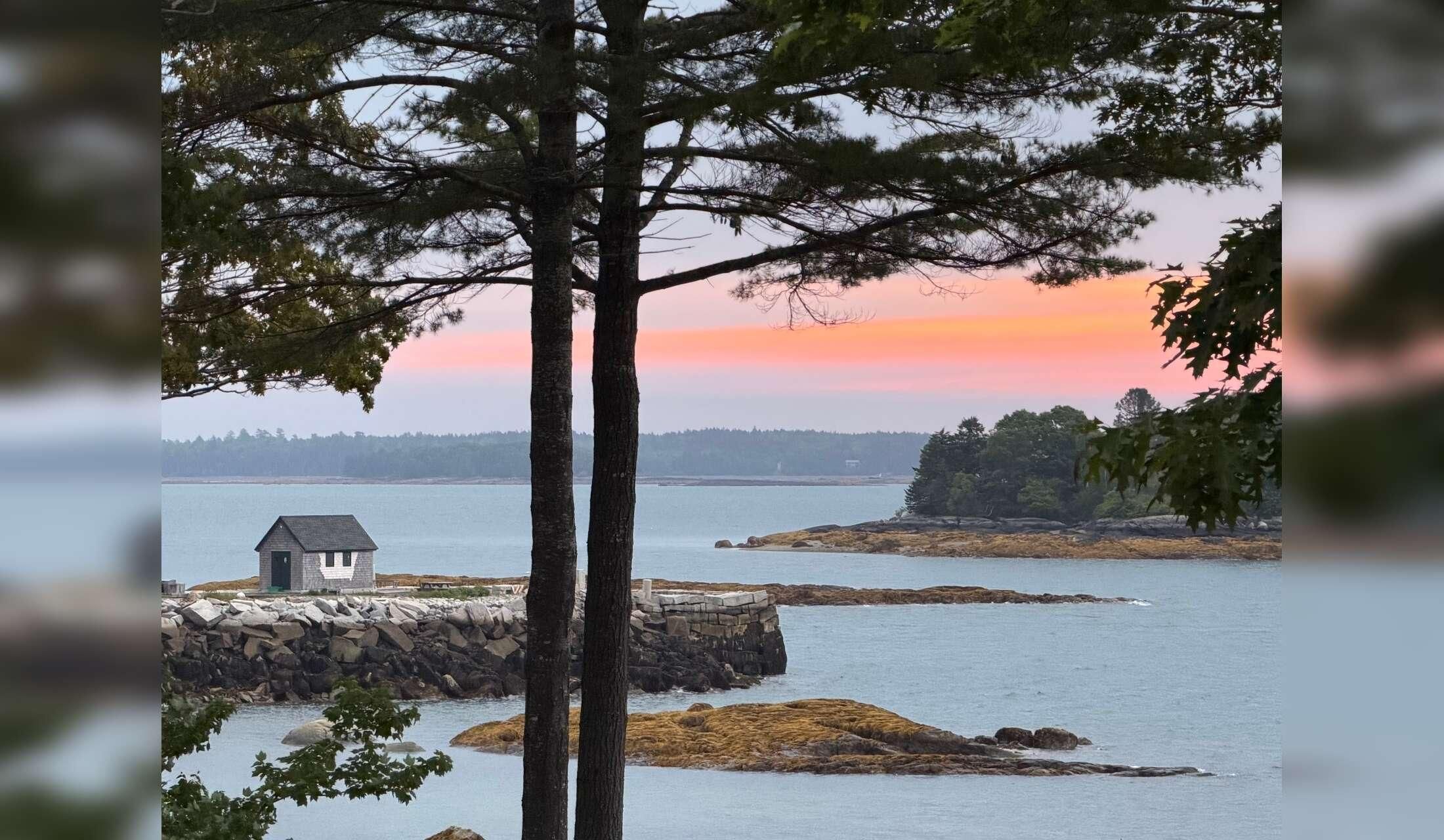 Awesome Dog & bonus Oceanfront Maine listing near Acadia/Blue Hill Peninsula - Image 3