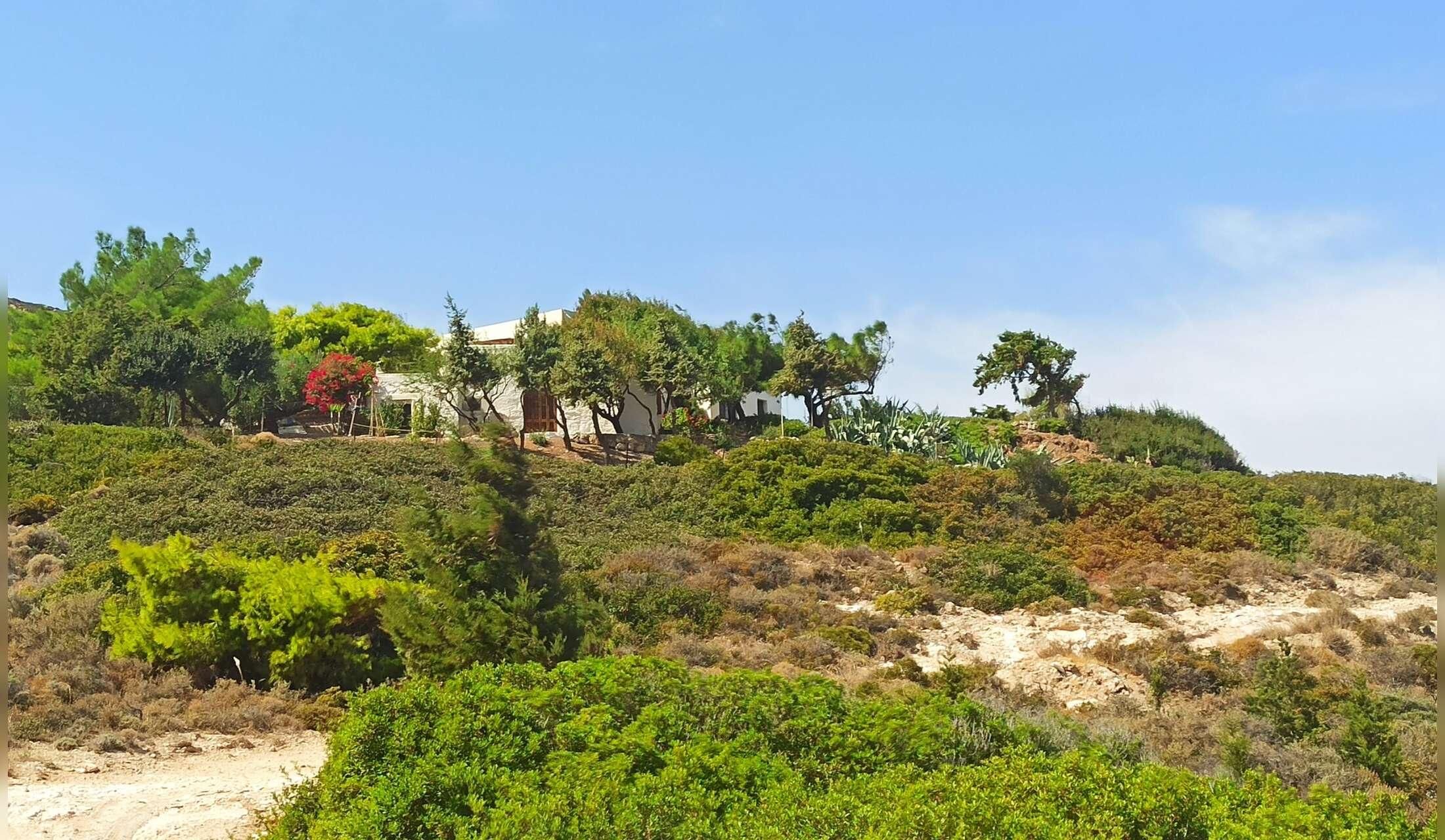 The Rivari Estate Milos house / pet sitting - Image 10
