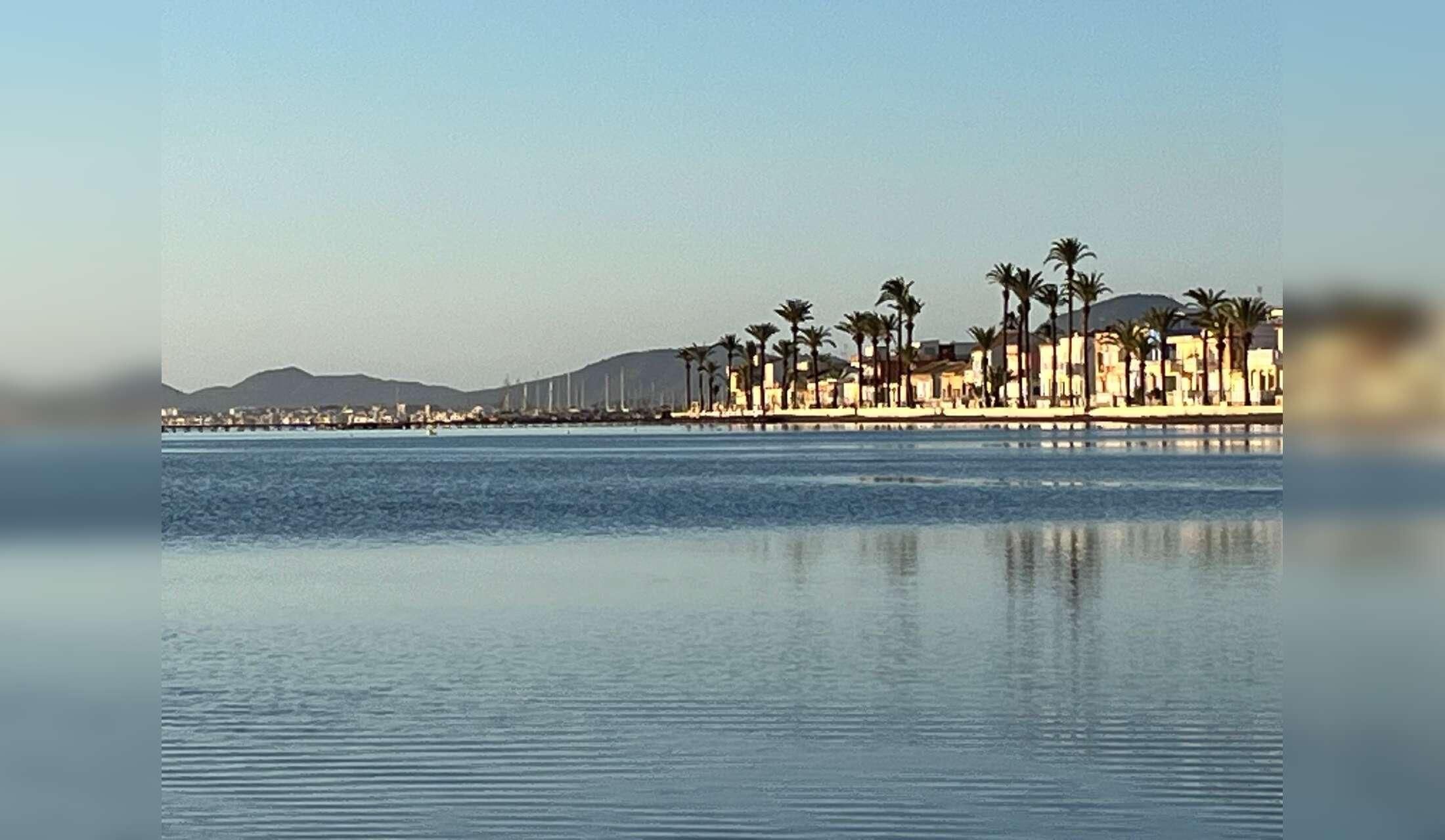 Detached 2 bedroom house in quiet village next to the Mar Menor with 7 cats to care for - Image 4