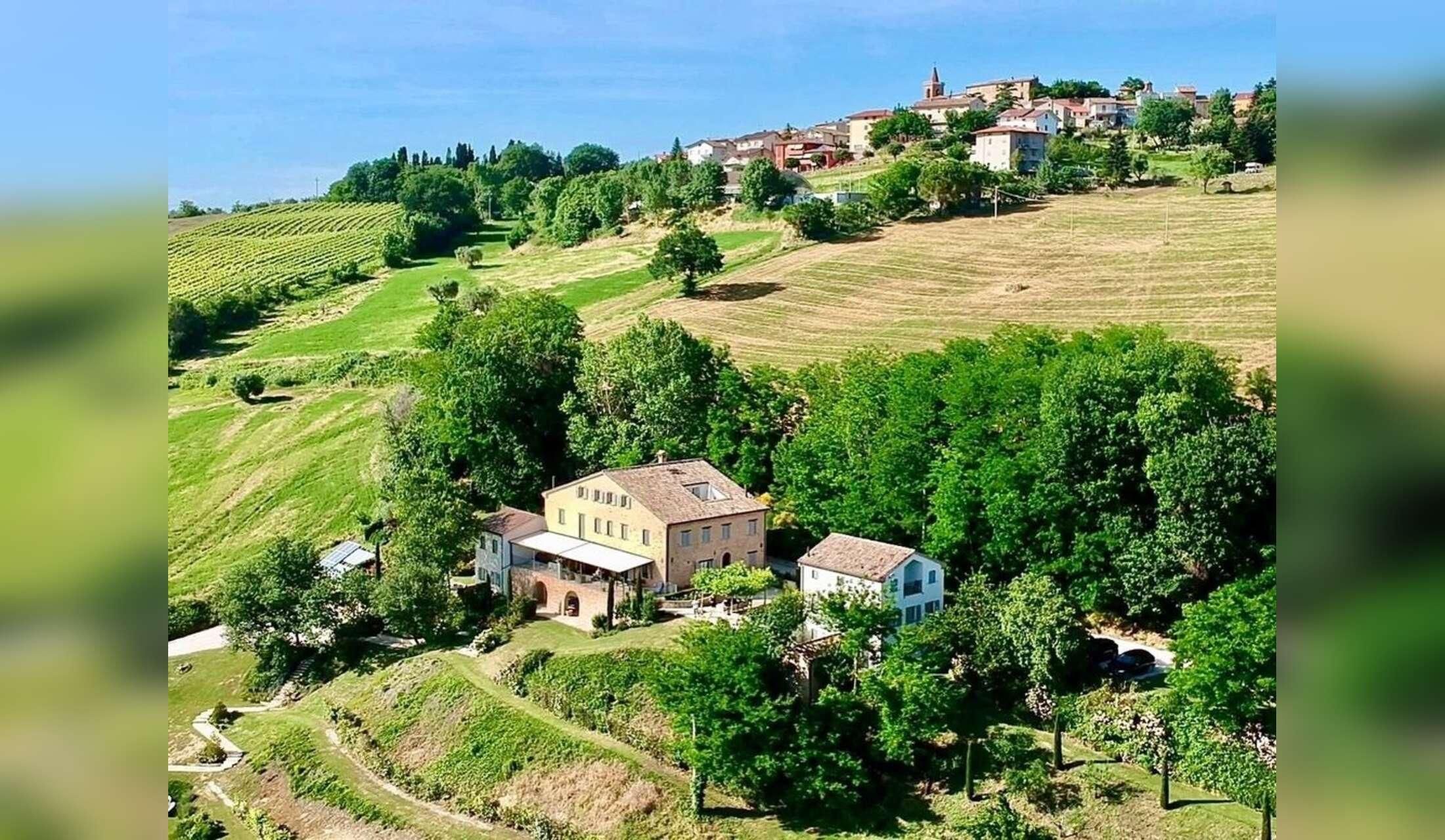 Looking for Italy lovers who like to look after our Countryhouse and 3 cats
