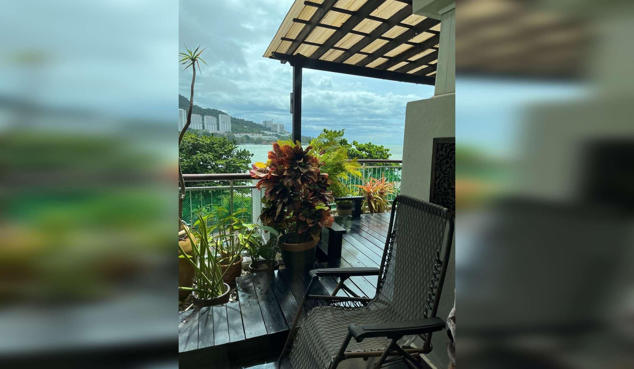 Cat lovers needed for beachfront condo - Image 10