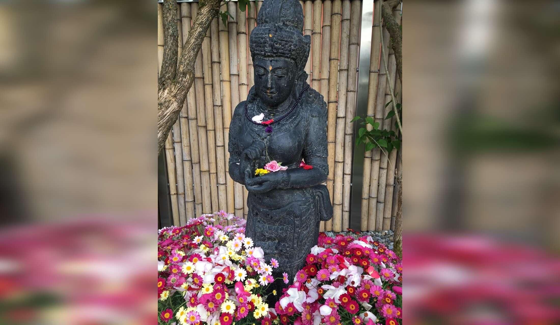 Mr. William and OM shanti - Image 6