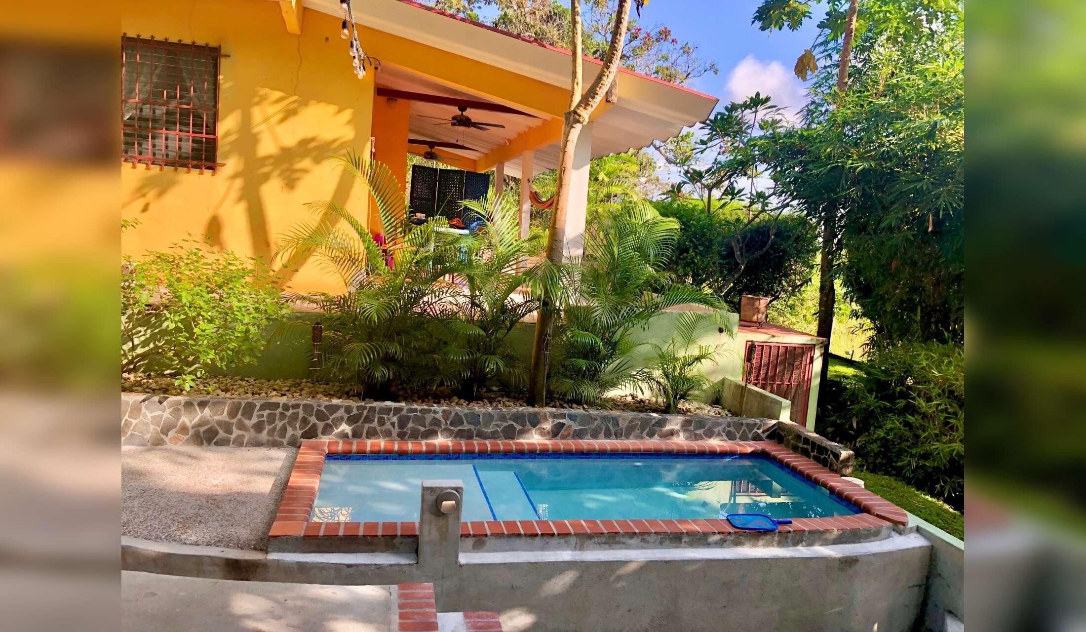Looking for a couple to live close to the beach with 4 cats, Maggie, a senior dog, and a chicken. Close to the beach near San Carlos, Panamá - Image 6