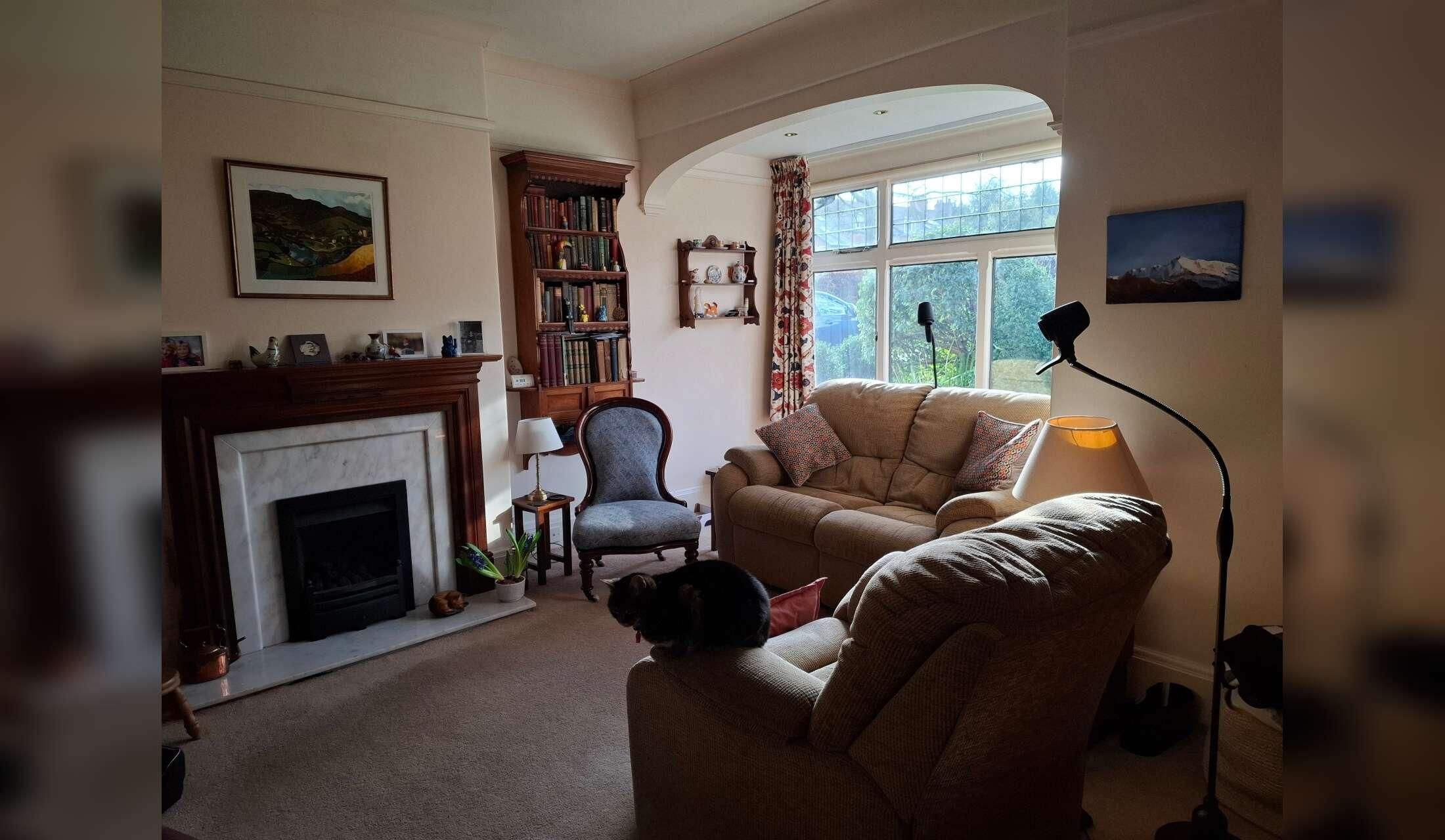 Cat and dog care in Yorkshire village near to open moors - Image 8