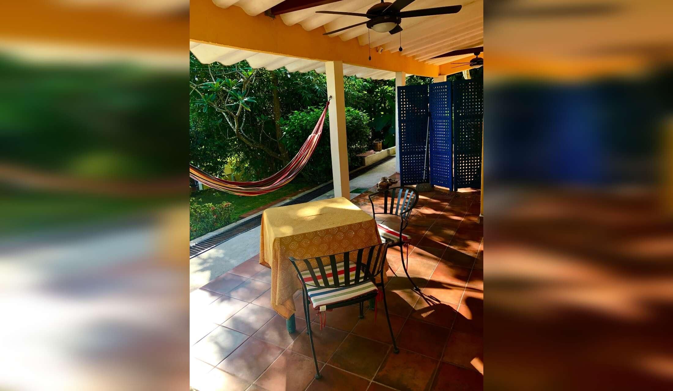 Looking for a couple to live close to the beach with 4 cats, Maggie, a senior dog, and a chicken. Close to the beach near San Carlos, Panamá - Image 10