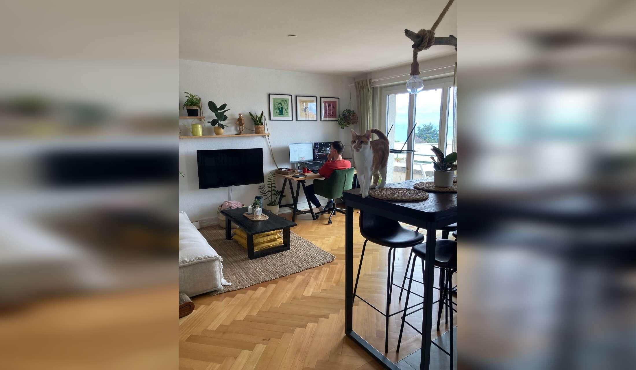 Cat lover - Stay near Lausanne, Switzerland - Image 4