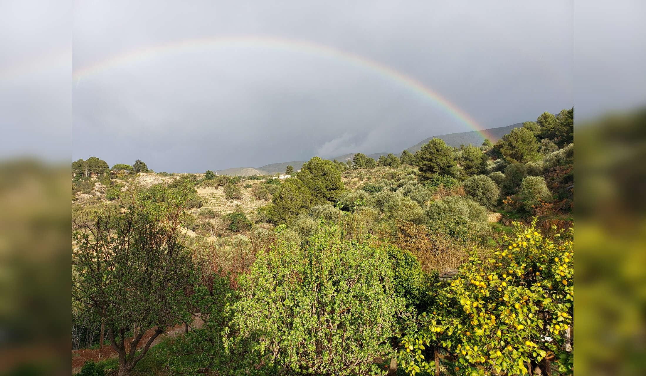Country house in Andalusia - animal lovers only - Image 9