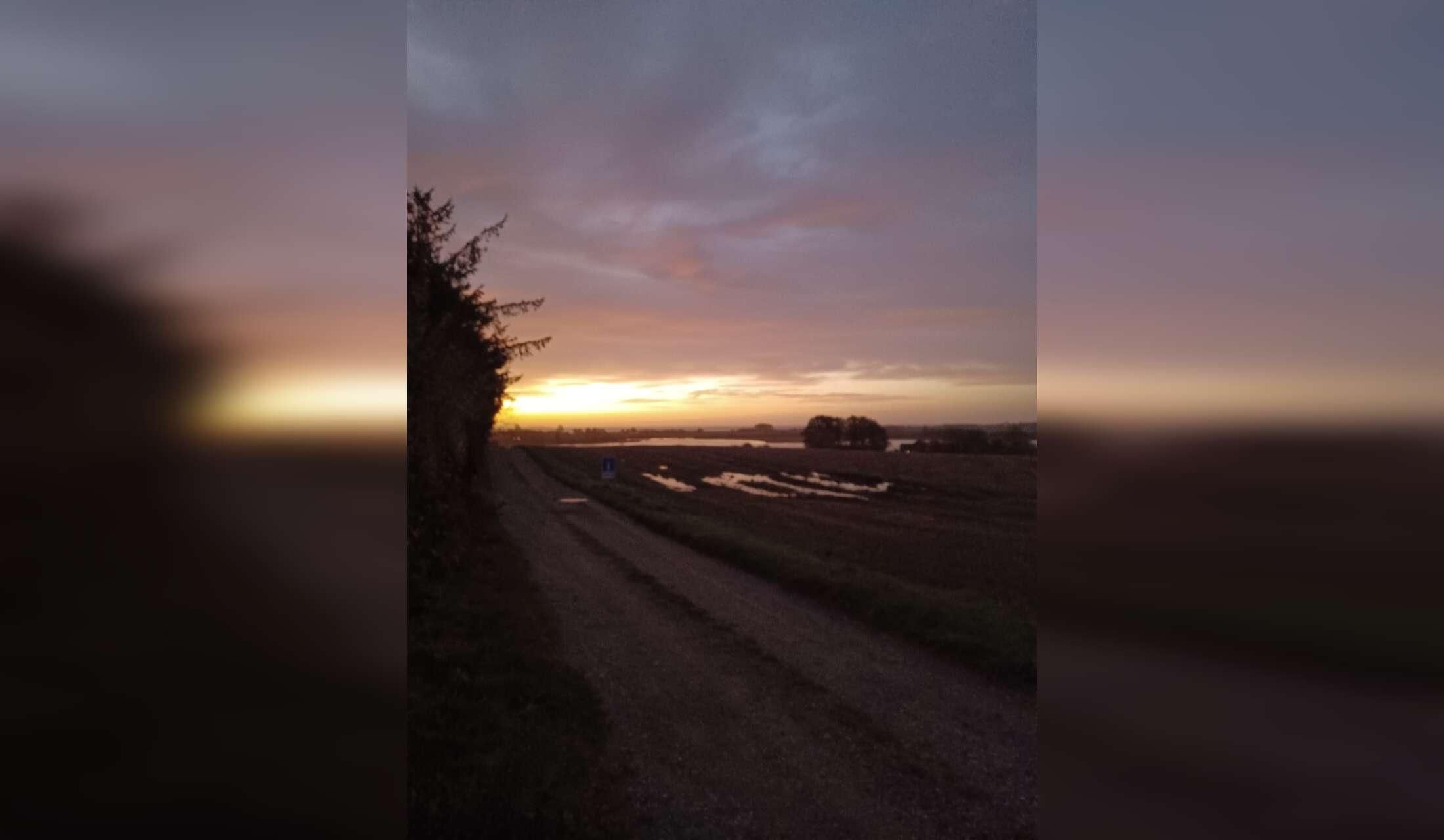 Looking for a house and cat-sitter (Aarhus, Denmark) - Image 7