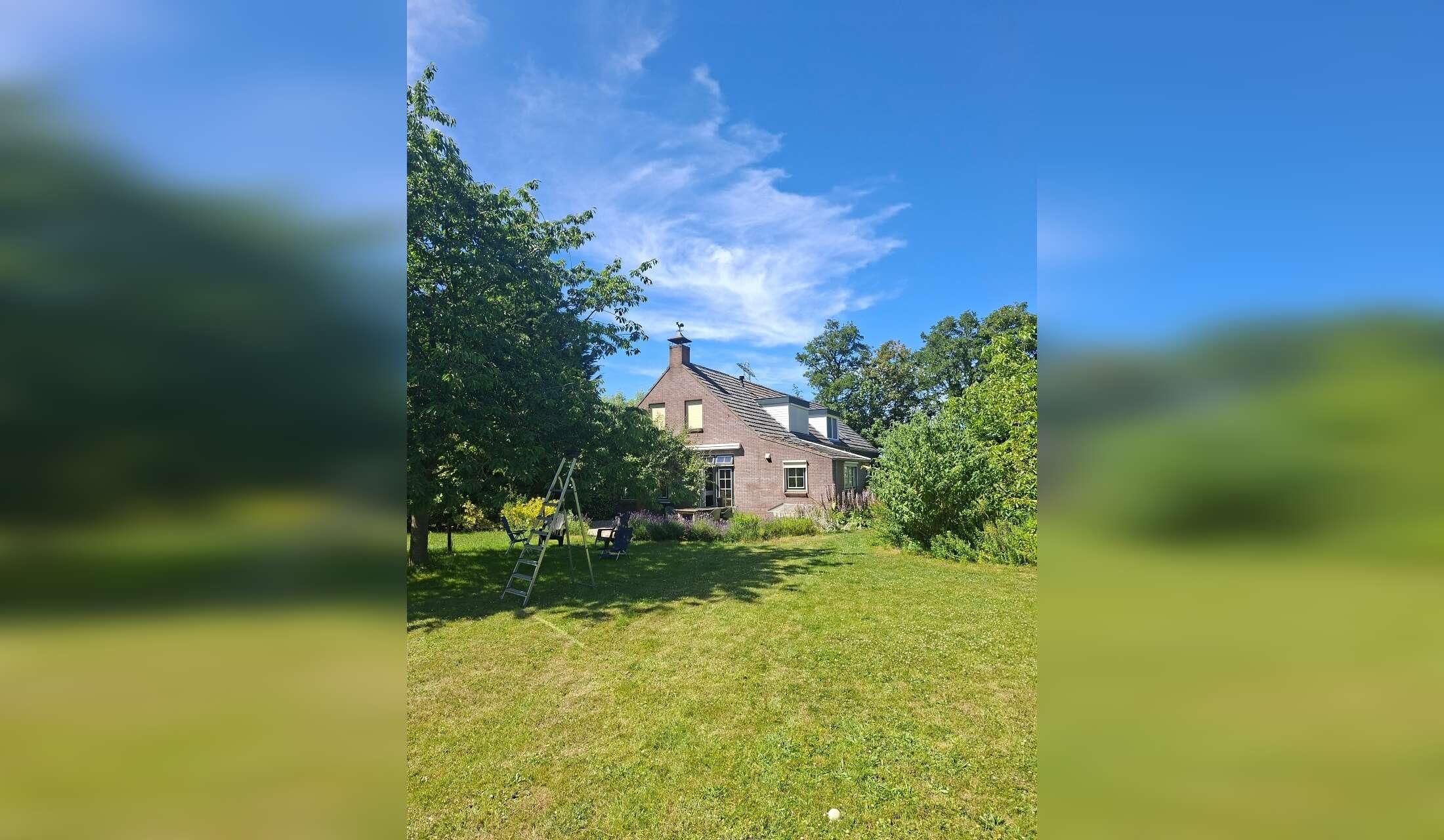 Scooby and lex are looking for a house sitter in their countryside house in the middle of Zeeland - Image 4