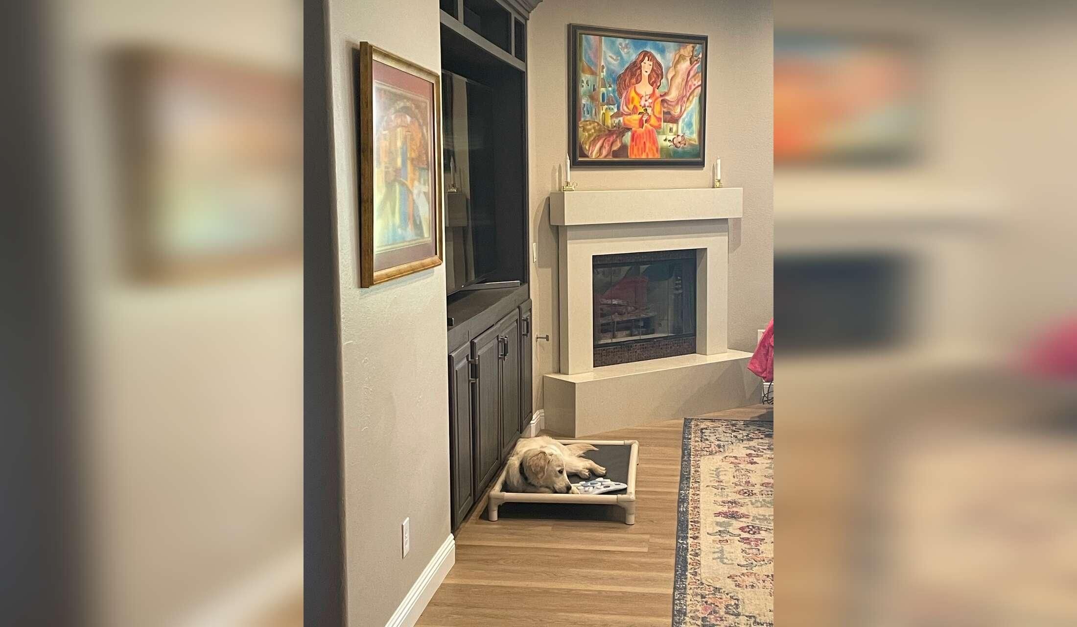 Great NW *(Summerlin area of Las Vegas) house w/sweet Golden Retrievers needs Dogsitter - Image 3
