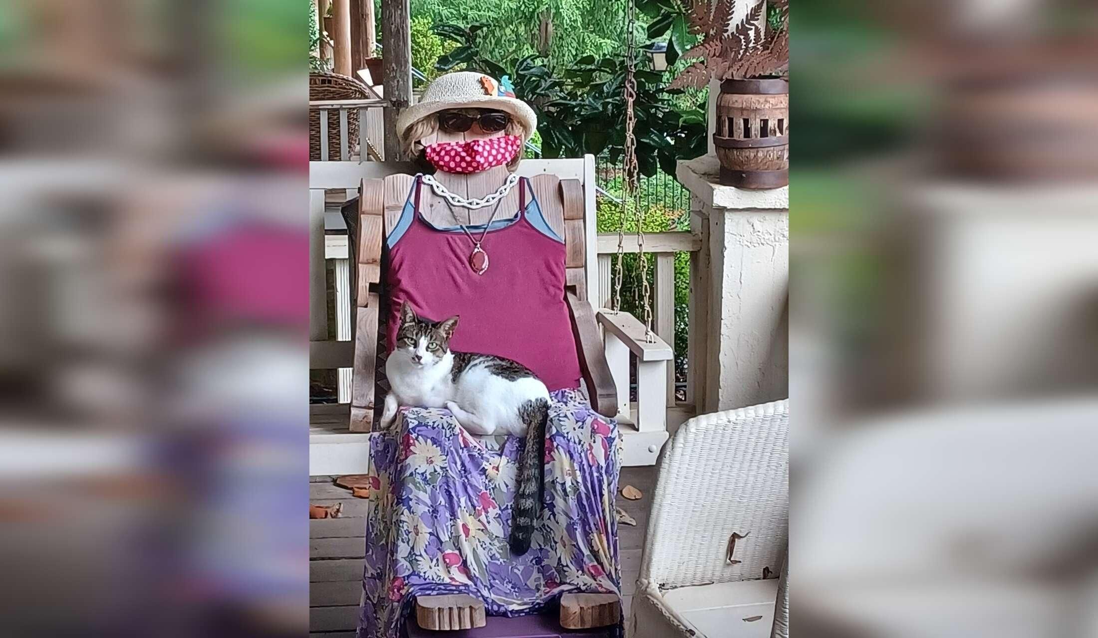 Delightful intown bungelow with elderly female purebred white lab, indoor/outdoor 3-legged cat, and one accrued outdoor feral cat (Non-Paying) - Image 7